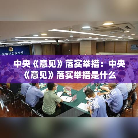 中央《意見》落實舉措:中央《意見》落實舉措是什么