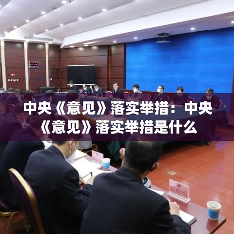 中央《意見》落實舉措:中央《意見》落實舉措是什么