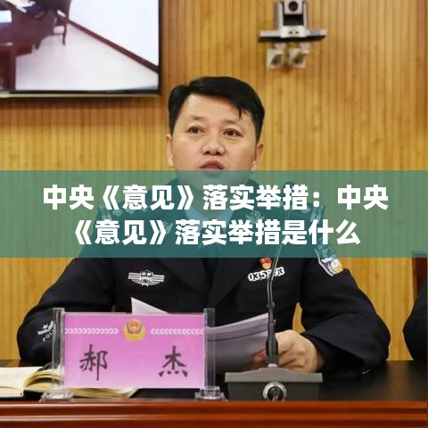 中央《意見》落實舉措:中央《意見》落實舉措是什么