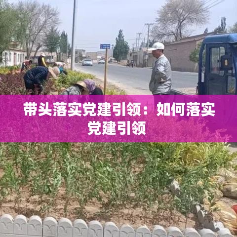 帶頭落實(shí)黨建引領(lǐng):如何落實(shí)黨建引領(lǐng)