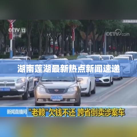 湖南蓮湖最新熱點新聞速遞