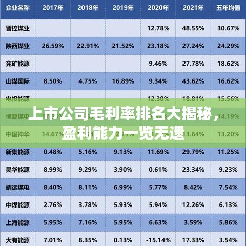 上市公司毛利率排名大揭秘,盈利能力一覽無遺