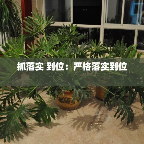 抓落實(shí) 到位:嚴(yán)格落實(shí)到位
