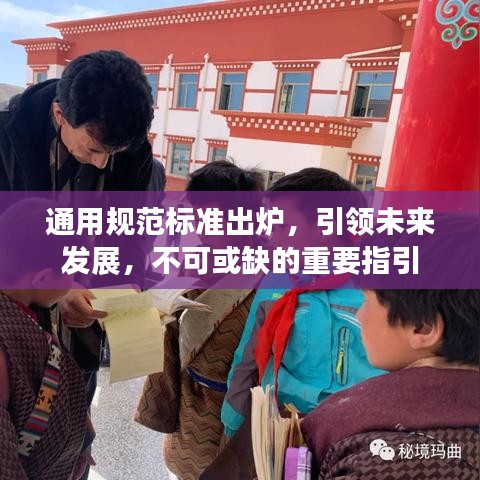 通用規(guī)范標(biāo)準(zhǔn)出爐,引領(lǐng)未來(lái)發(fā)展,不可或缺的重要指引