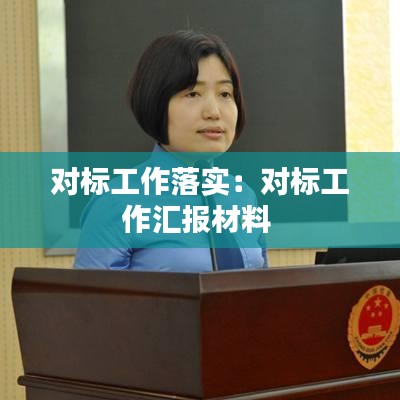 對標工作落實:對標工作匯報材料