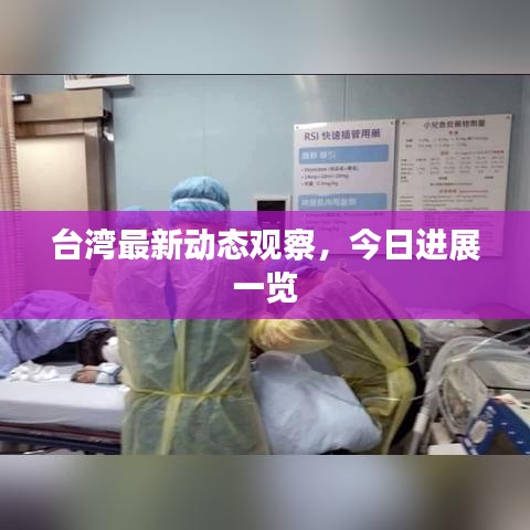 臺灣最新動態觀察,今日進展一覽
