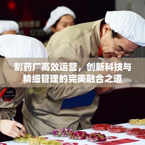 制藥廠高效運(yùn)營,創(chuàng)新科技與精細(xì)管理的完美融合之道