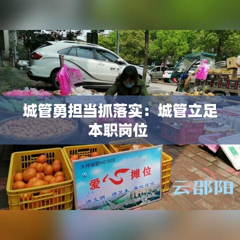 城管勇擔當抓落實:城管立足本職崗位