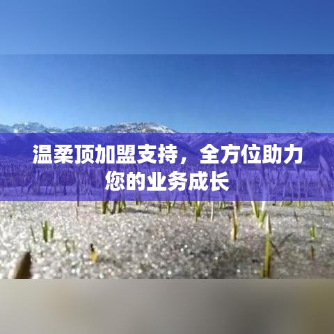 溫柔頂加盟全力支持,助您業(yè)務(wù)蓬勃發(fā)展