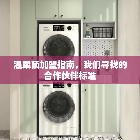 溫柔頂加盟手冊,合作伙伴招募標準詳解