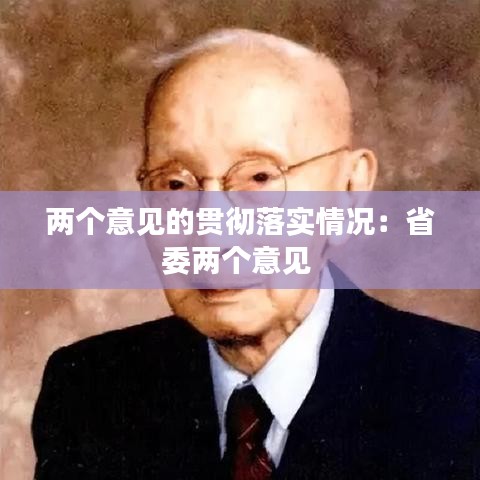 兩個(gè)意見的貫徹落實(shí)情況:省委兩個(gè)意見