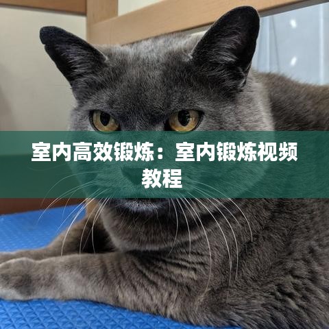 室內(nèi)高效鍛煉:室內(nèi)鍛煉視頻教程