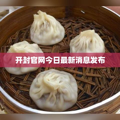 開封官網今日最新消息發布