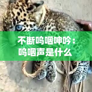 飛沙走石 第3頁