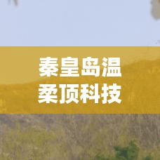 秦皇島溫柔頂科技榮獲創(chuàng)新獎,引領(lǐng)行業(yè)潮流,鑄就典范地位