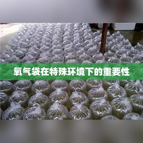 氧氣袋特殊環境應用重要性解析