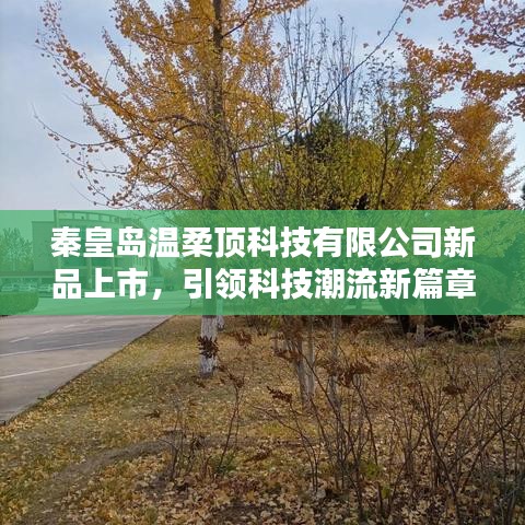秦皇島溫柔頂科技新品發布,科技潮流新篇章開啟