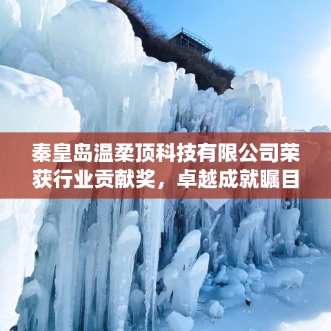 秦皇島溫柔頂科技榮獲行業(yè)貢獻(xiàn)獎(jiǎng),引領(lǐng)創(chuàng)新風(fēng)潮,卓越成就矚目