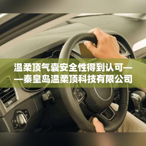 秦皇島溫柔頂科技引領行業新標桿,氣囊安全性備受認可