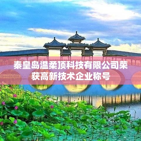 秦皇島溫柔頂科技榮獲高新企業稱號