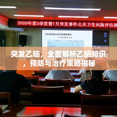 突發(fā)乙腦,全面解析乙腦知識(shí),預(yù)防與治療策略揭秘