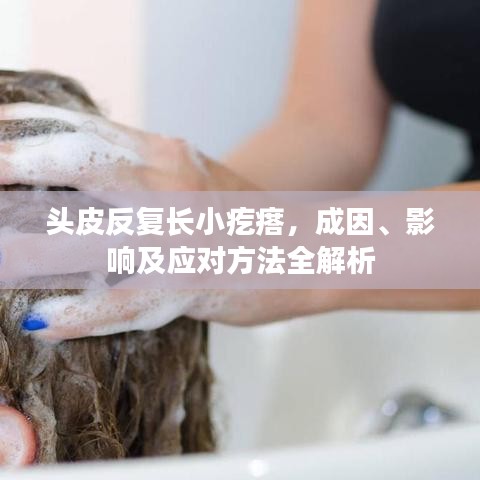 頭皮反復(fù)長小疙瘩,成因、影響及應(yīng)對方法全解析