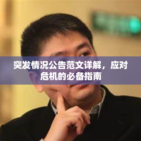 突發(fā)情況公告范文詳解,應(yīng)對(duì)危機(jī)的必備指南