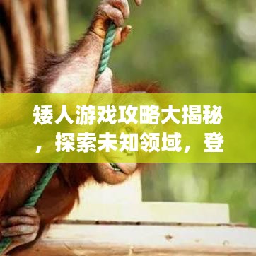 矮人游戲攻略大揭秘,探索未知領(lǐng)域,登頂頂尖玩家之路!