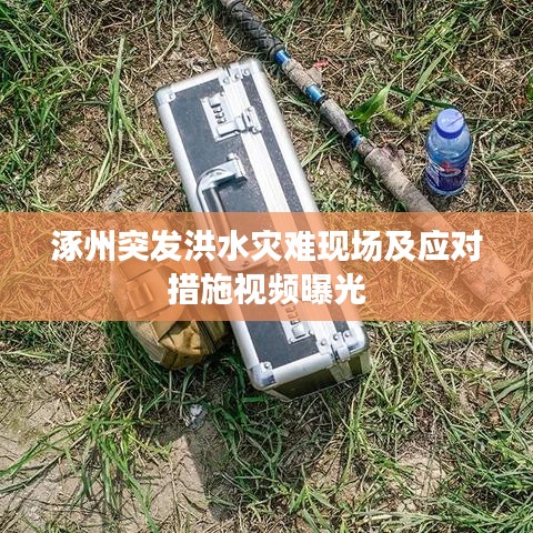 涿州突發洪水災難現場及應對措施視頻曝光