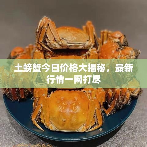 土螃蟹今日價格大揭秘,最新行情一網打盡