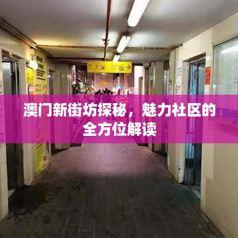 澳門(mén)新街坊探秘,魅力社區(qū)的全方位解讀