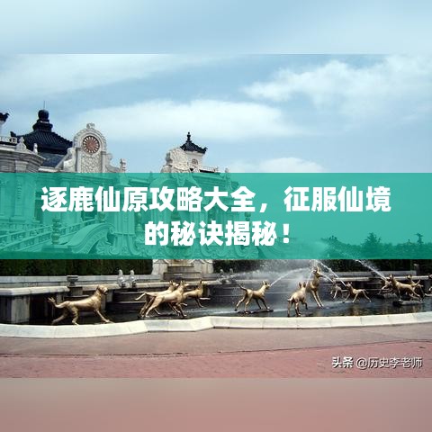 逐鹿仙原攻略大全,征服仙境的秘訣揭秘!