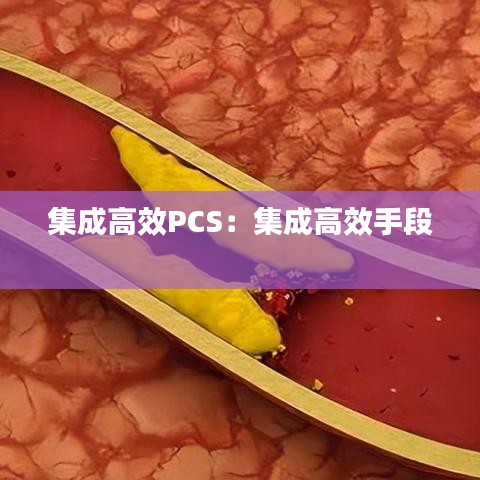 集成高效PCS:集成高效手段