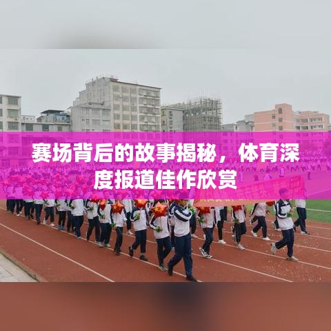賽場背后的故事揭秘,體育深度報道佳作欣賞