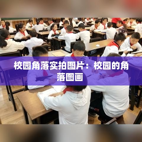 校園角落實(shí)拍圖片:校園的角落圖畫