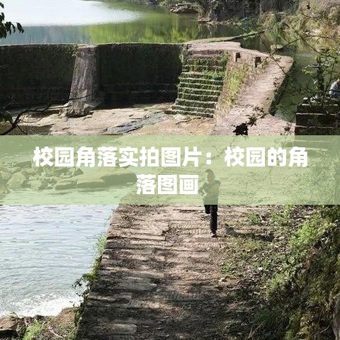 校園角落實(shí)拍圖片:校園的角落圖畫