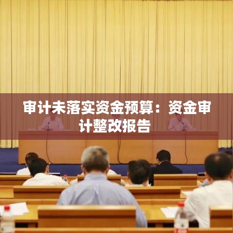 審計未落實資金預算:資金審計整改報告