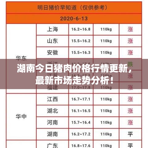 湖南今日豬肉價格行情更新，最新市場走勢分析！