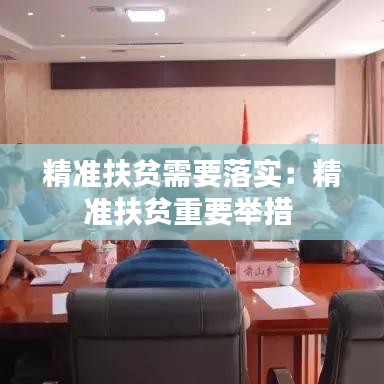 精準扶貧需要落實:精準扶貧重要舉措