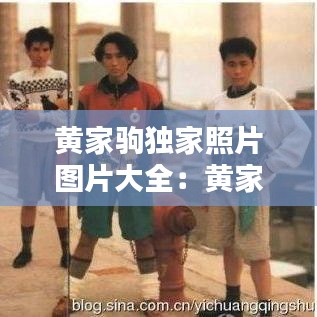 黃家駒獨(dú)家照片圖片大全:黃家駒珍貴圖片20張