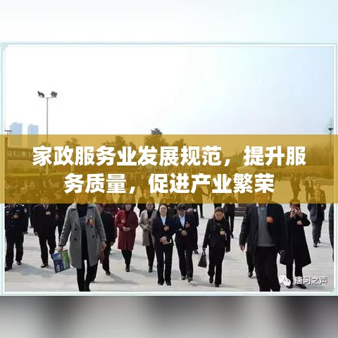 家政服務業發展規范,提升服務質量,促進產業繁榮