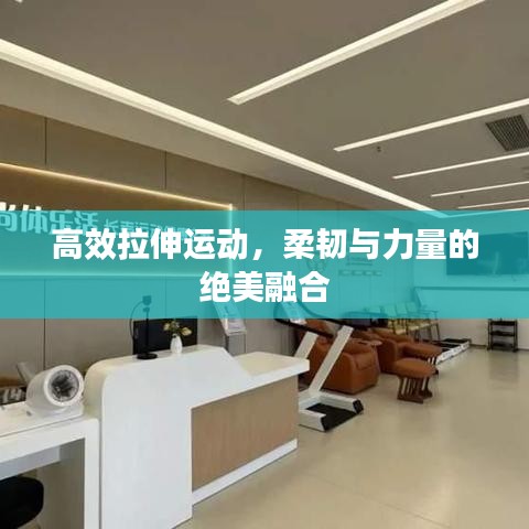 高效拉伸運動,柔韌與力量的絕美融合