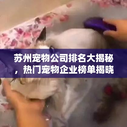 蘇州寵物公司排名大揭秘，熱門寵物企業榜單揭曉！