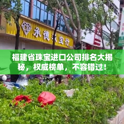 福建省珠寶進口公司排名大揭秘,權(quán)威榜單,不容錯過!