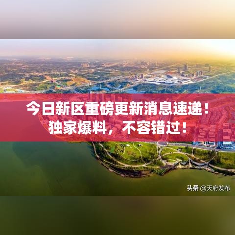 今日新區重磅更新消息速遞!獨家爆料,不容錯過!