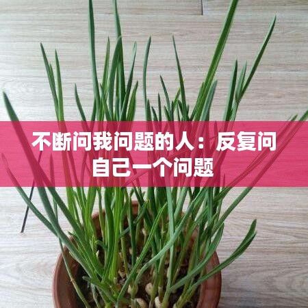 不斷問我問題的人:反復問自己一個問題