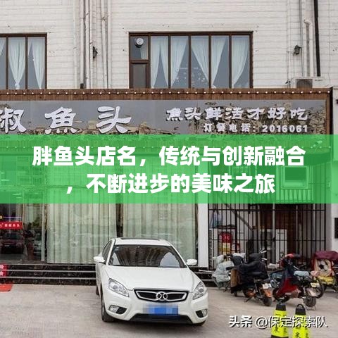 胖魚頭店名,傳統(tǒng)與創(chuàng)新融合,不斷進(jìn)步的美味之旅