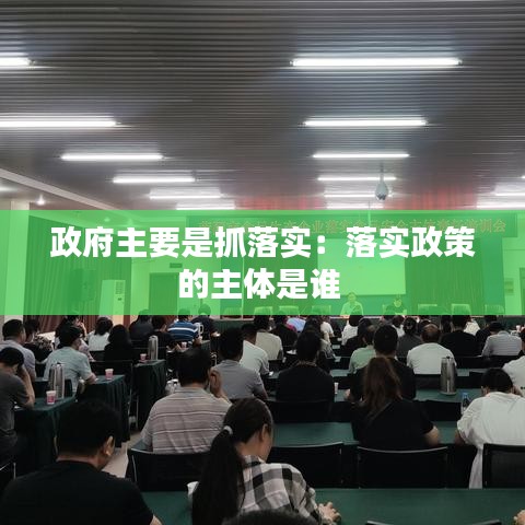 政府主要是抓落實:落實政策的主體是誰