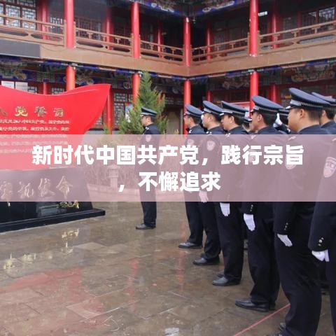 新時(shí)代中國(guó)共產(chǎn)黨,踐行宗旨,不懈追求