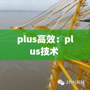 plus高效:plus技術(shù)